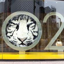 目を閉じて     ウインクは撮れず┐(‘～`;)┌