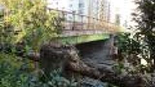 高速道路の上にある橋