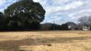 「堀越公方」御所跡