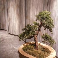 グランドプリンス高輪内ですが全く別の空間です