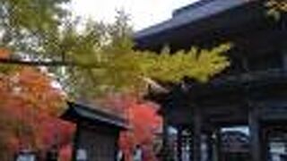 銀杏の紅葉はまだ早かったけれど