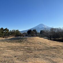 公園から見た富士山