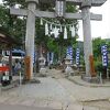 諏訪神社の芍薬園