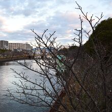 付近の風景