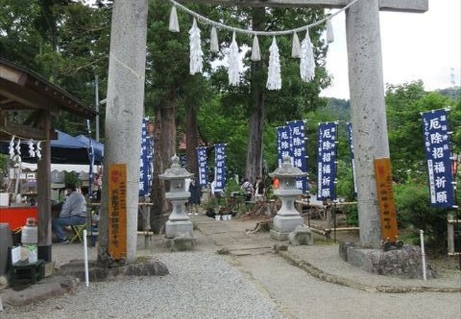 諏訪神社の芍薬園