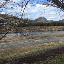 狩野川さくら公園