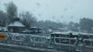 雪が積もっていた