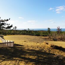 近くには防風林が植栽されてます