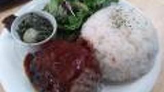 肉の溶岩グリル&横浜地野菜 H.B's nest