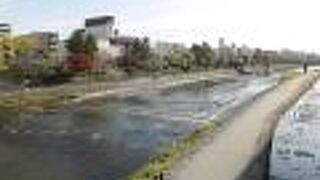 さすがに冬場は人少ない。