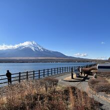 公園から見た富士山