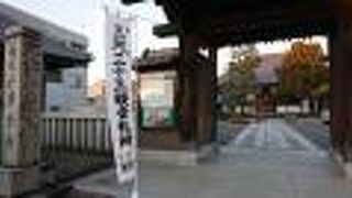 境内の樹木が立派でした