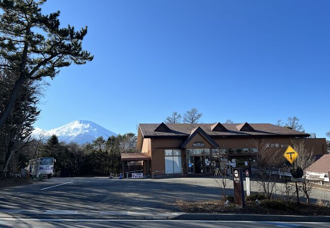 水陸両用「カババス」の乗り場