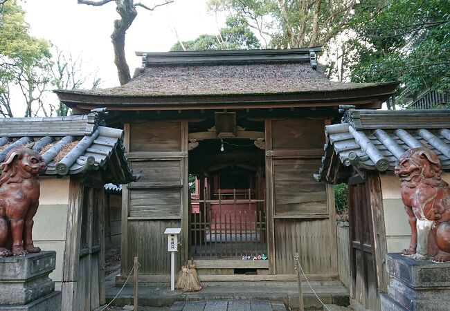 西尾城本丸跡に立地する神社