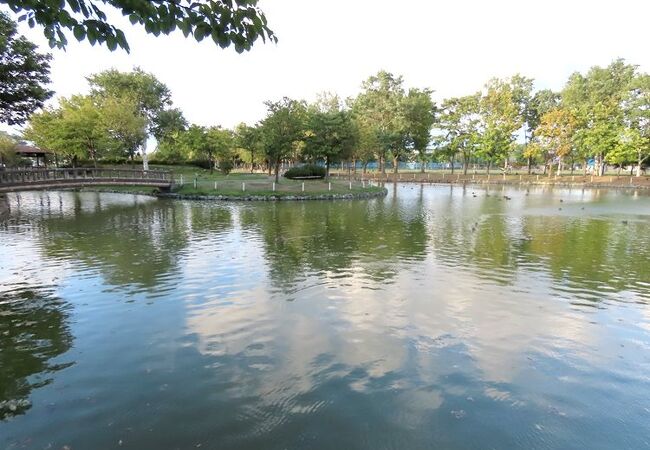 真ん中に池がある三角形の公園