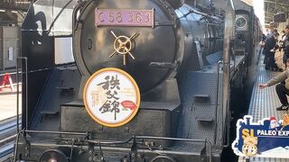 都心から比較的近くを走るSLです。　運行日は熊谷駅ホームも激混みです!
