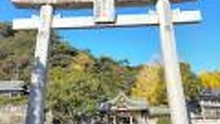 高さ１３ｍある日本一の大きさといわれる石造りの大鳥居がある神社