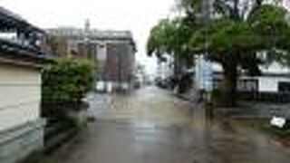 タブノキが面影を残す本家跡