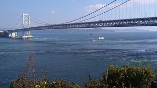 大潮の日をねらって