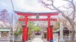 鳥居も社殿もりっぱな造りです。