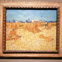 プロヴァンスの収穫期　～フィンセント・ファン・ゴッホ ～
