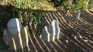 吉備姫王の墓を囲む柵の中に、奇妙な石像がありました。