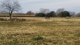 広い河川敷の公園