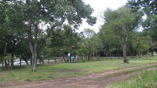 子供はさておき、自分も体験したい？