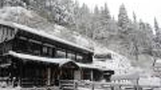 揚げなすのおそばがおすすめ