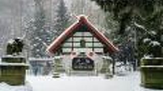 初詣は静かな『定山渓神社』へ