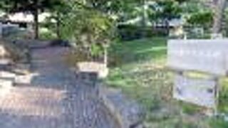 オフィスビルでも少しは緑のスペースを確保しないと、ですよね？