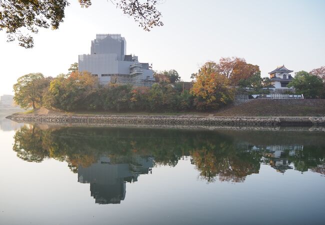 烏城公園 岡山城 クチコミ アクセス 営業時間 岡山市 フォートラベル
