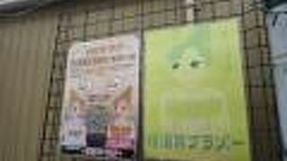 久しぶりの通り