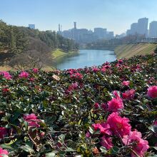 半蔵門からお堀端を下ります！