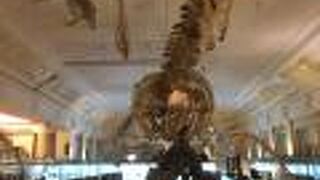 国立台湾博物館 土銀展示館