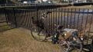 スタッフの方がとても親切でした。