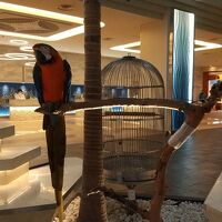 フロントロビー