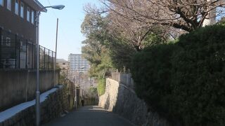 愛染堂へと続く道