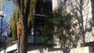 善福寺の参道にあります