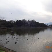 橿原神宮のそばにある池です。