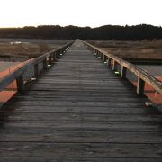 世界一長い木造歩道橋