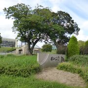 小倉城を囲む大きな公園