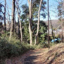 野津田公園こもれびの路