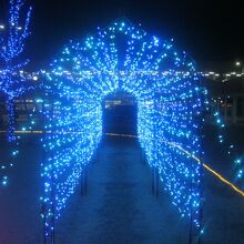 こんなアーチ型トンネル電飾もあります