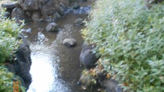 日本庭園や落着いたせせらぎなどもあります