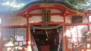 狐さんの密度が凄い！