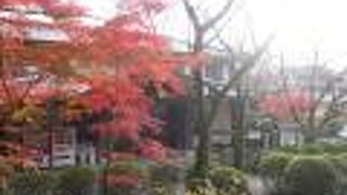 隠れた紅葉スポット。