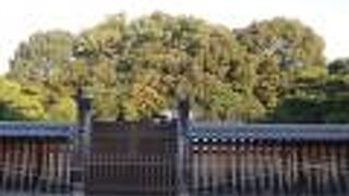 ＪＲ奈良駅から三条通りを歩いて近鉄奈良駅に向かう途中、通りの左側にありました。