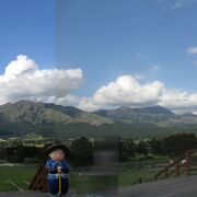 阿蘇五岳の景色が最高です。