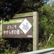 休憩所、駐車場といった施設も何もありませんでした。